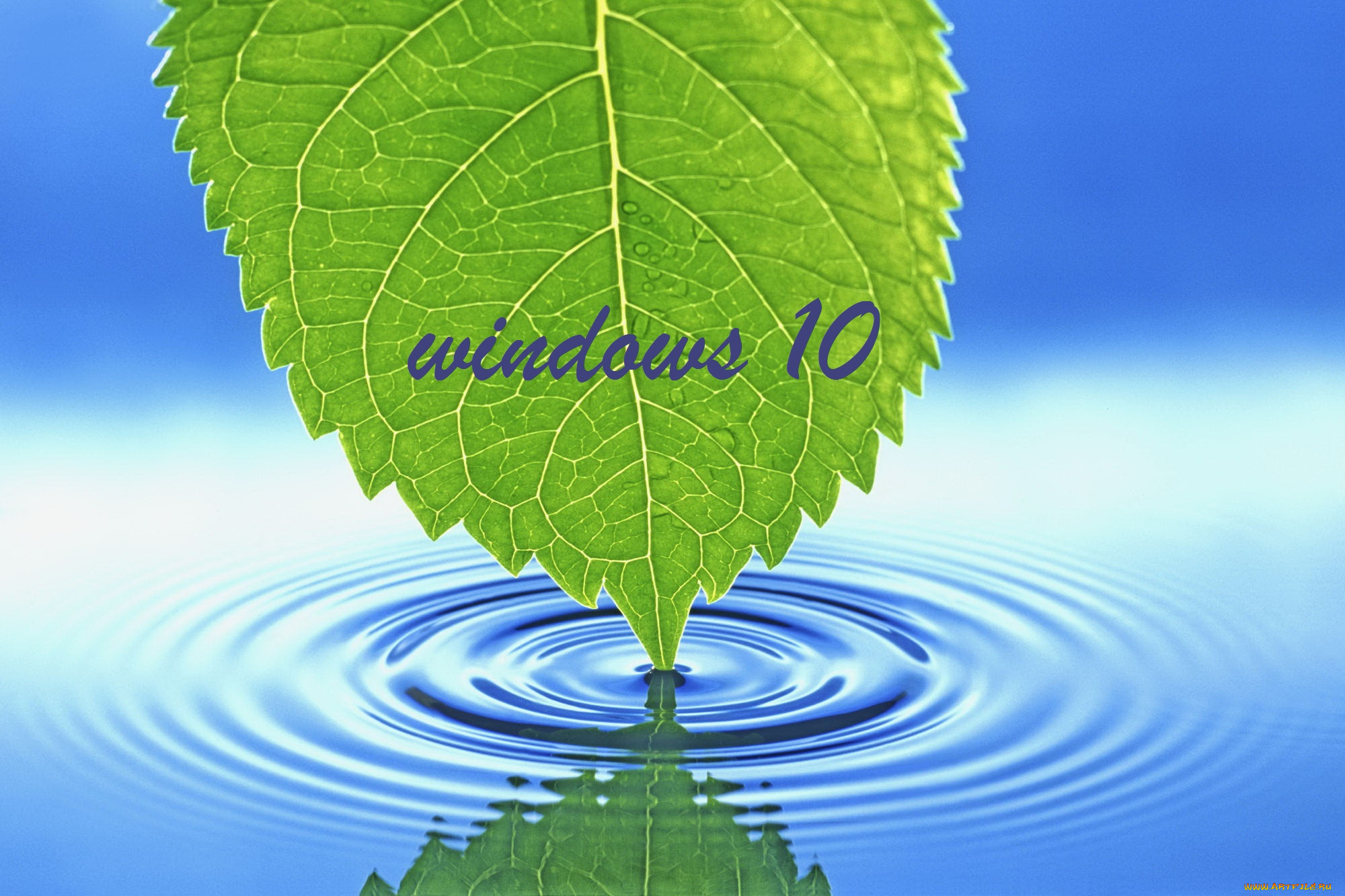 , windows  10, , 